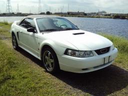 Used Ford MUSTANG