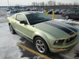 Used Ford MUSTANG